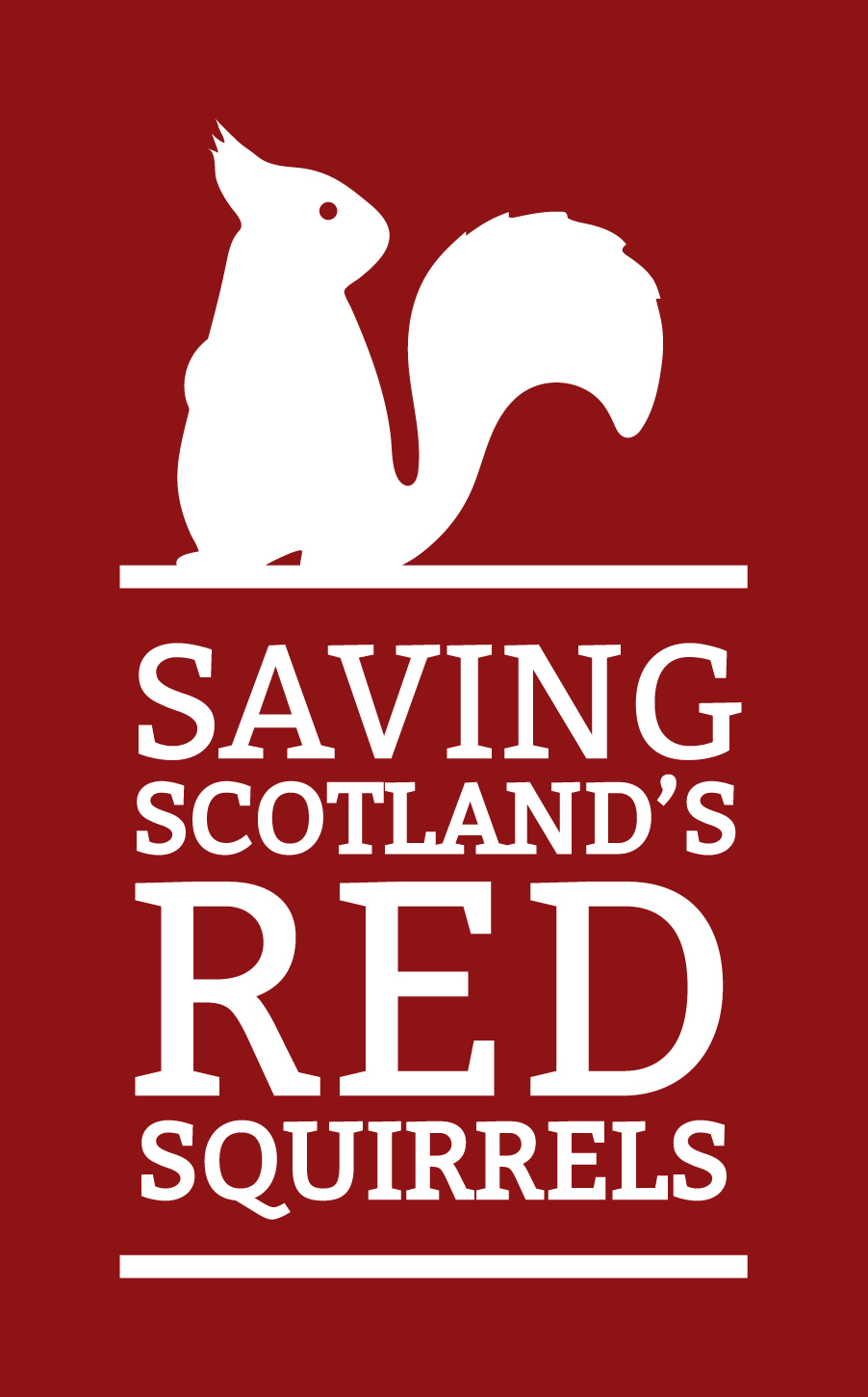 Red Squirrels